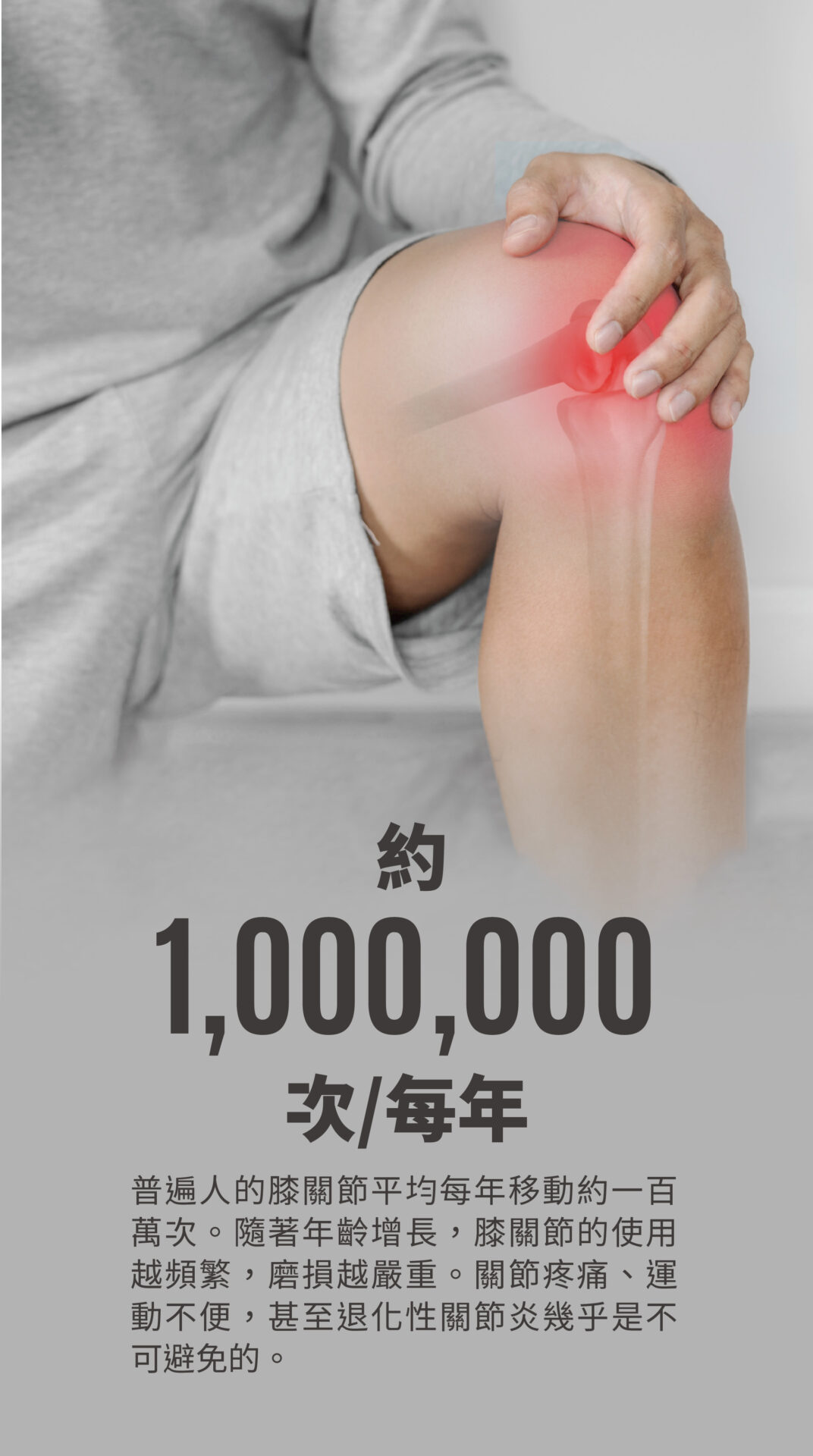 美天膝健寶 單張 2