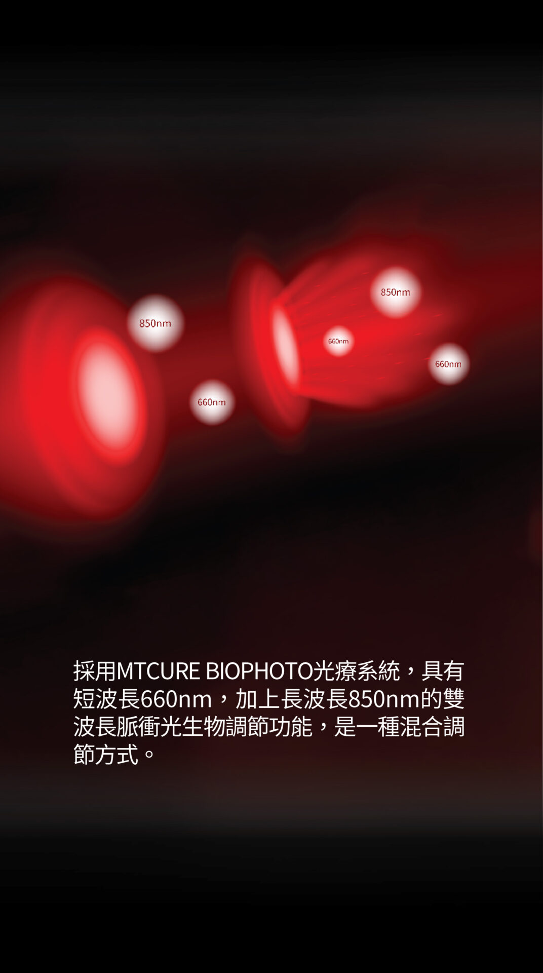 美天膝健寶 單張 5
