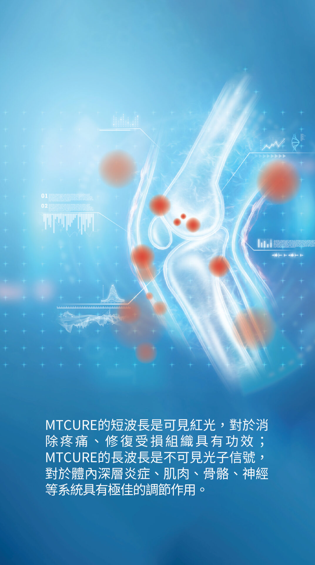 美天膝健寶 單張 6
