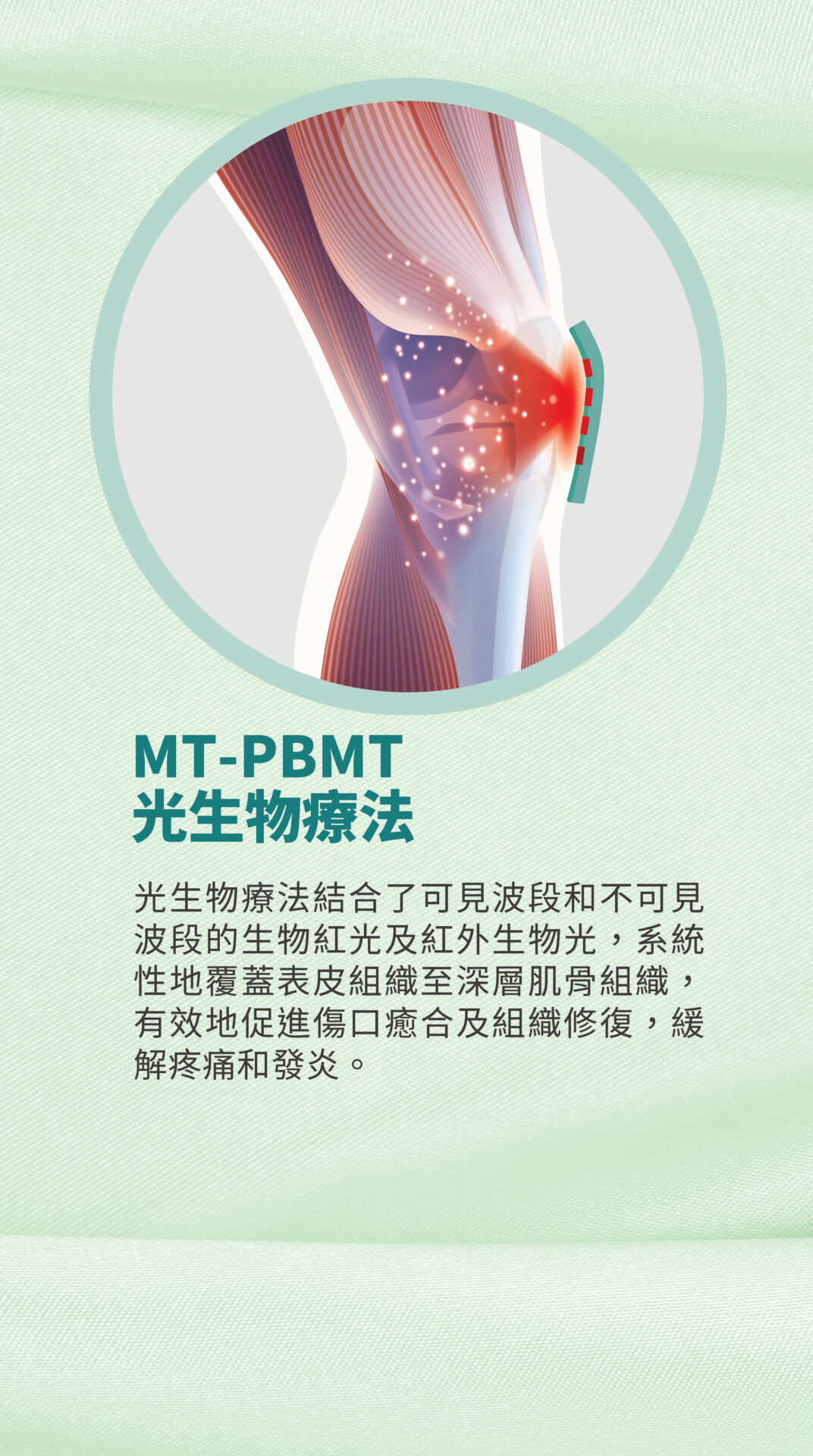 美天膝健寶 單張 9