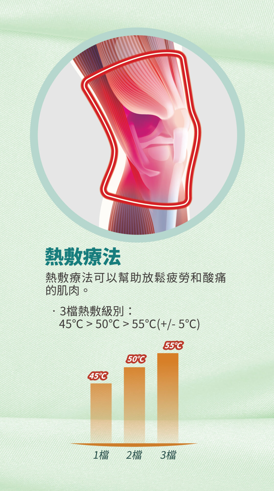 美天膝健寶 單張 10