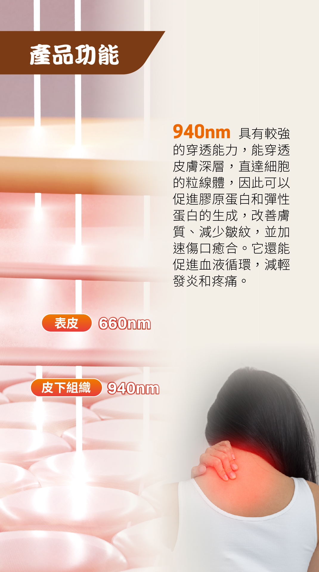 頸康寶 單張 6