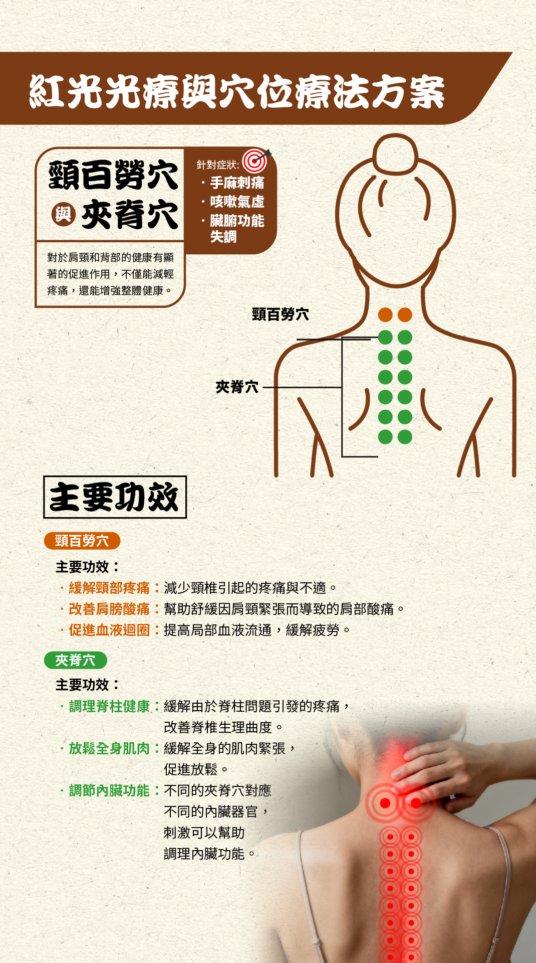 頸康寶 單張 12