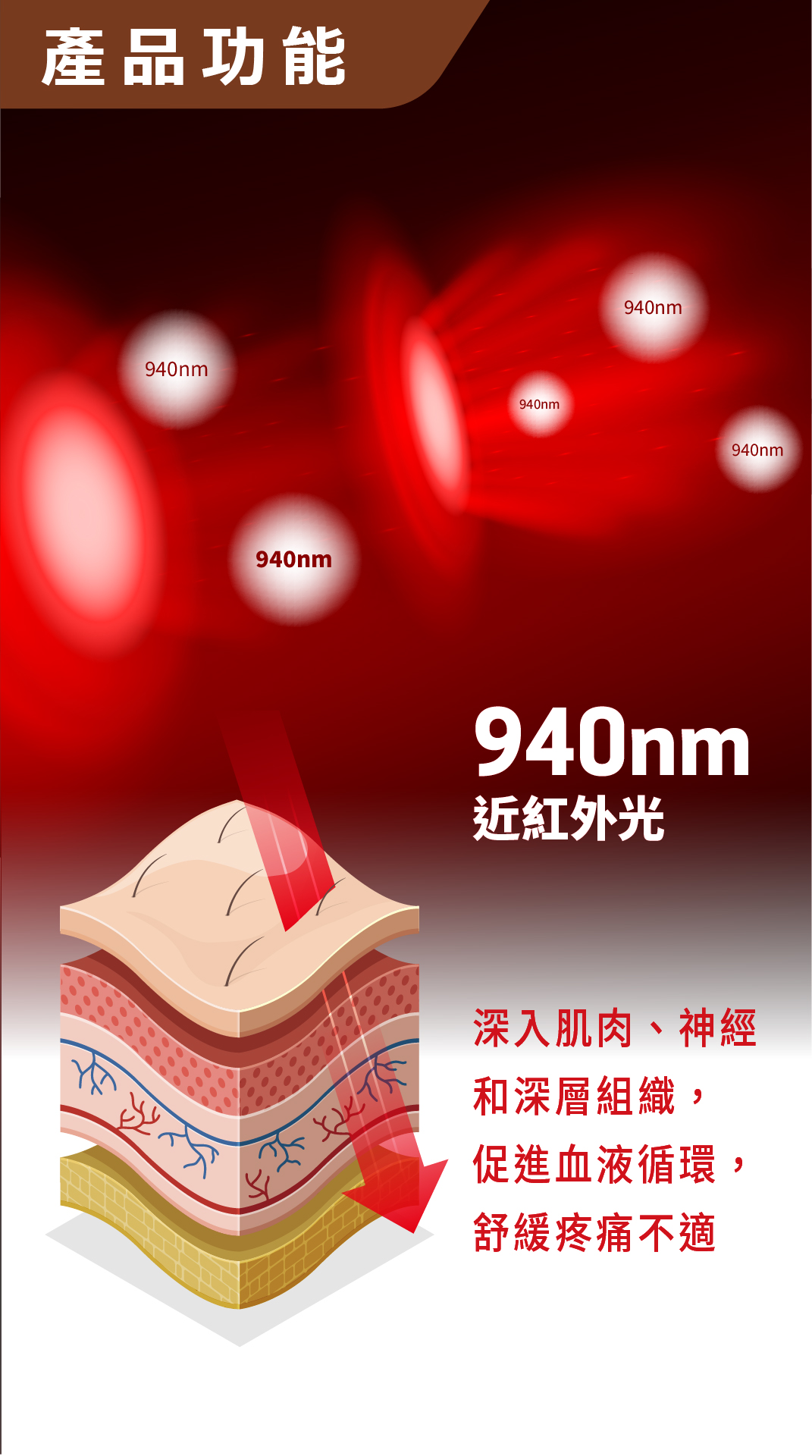 頸康寶(升級版) 介紹