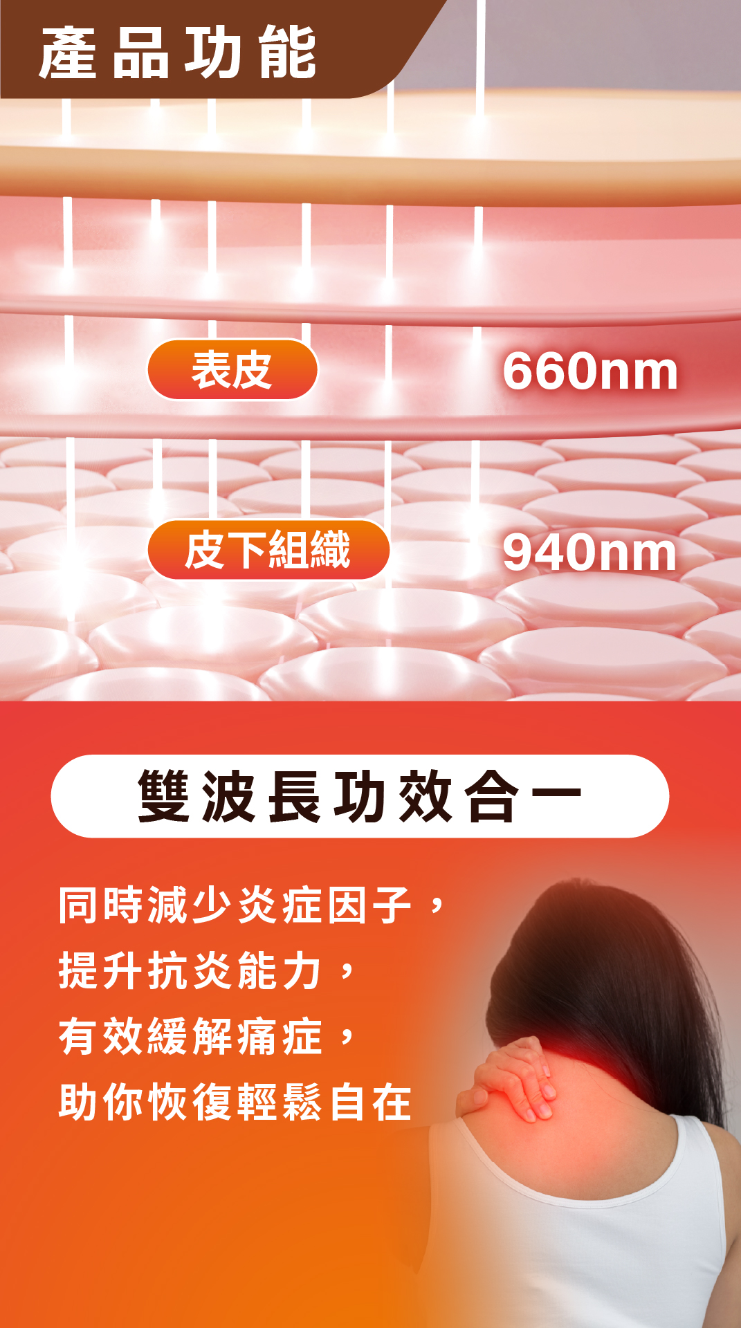 頸康寶(升級版) 介紹