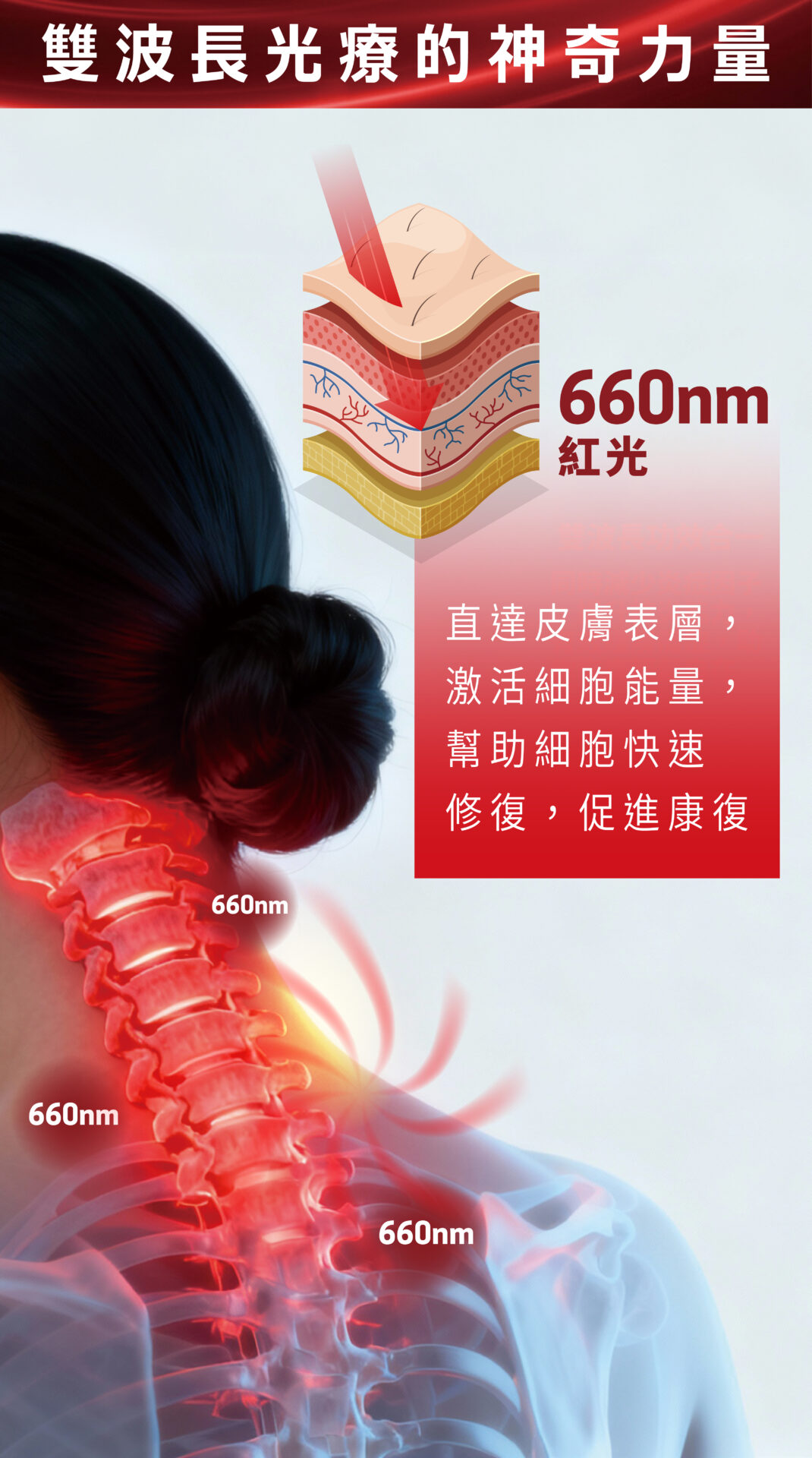 Maxcare 頸康寶(升級版) 