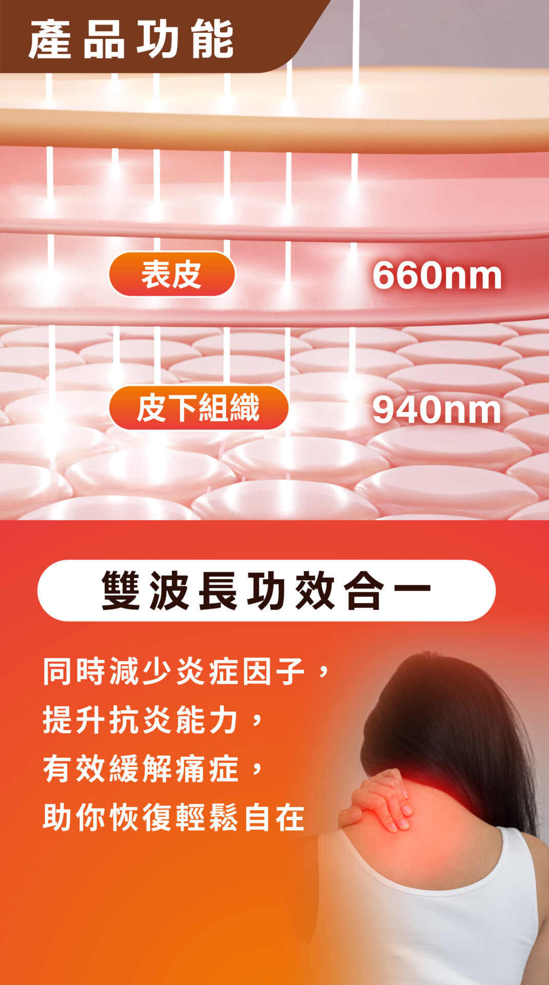 Maxcare 頸康寶(升級版) 