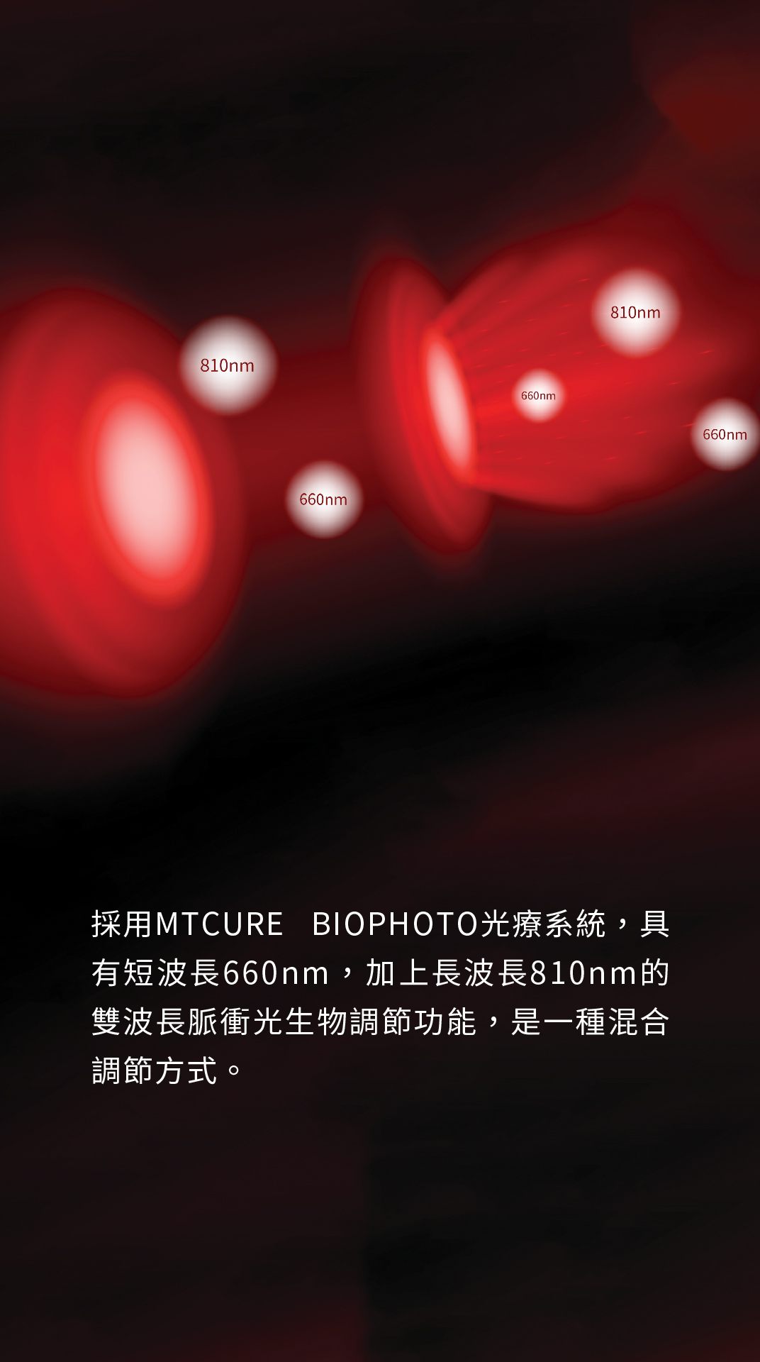 手康寶 單張 4