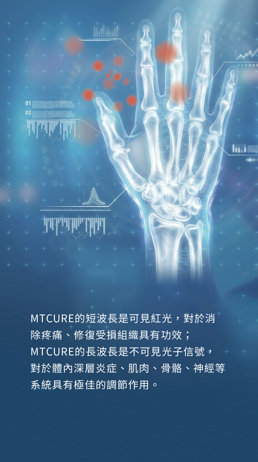 手康寶 單張 5